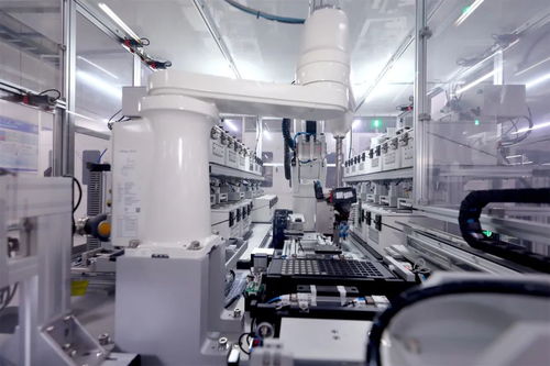 未來已來 深度長(zhǎng)虹 ai 全生態(tài)競(jìng)速重塑產(chǎn)業(yè)格局